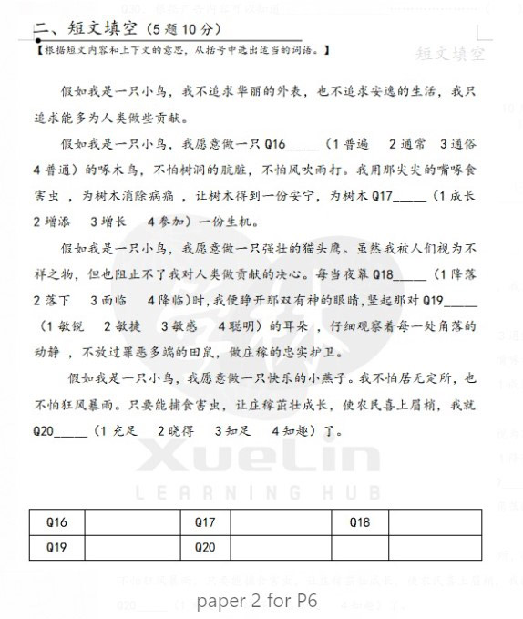 Paper-P6-1-Xuelin